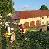 IMG_3142