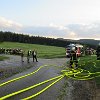 IMG_3157
