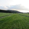 IMG_3167