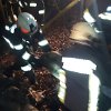 IMG-20180331-WA0058