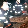 IMG-20180331-WA0075
