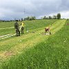 IMG-20190525-WA0011