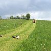IMG-20190525-WA0015