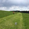 IMG-20190525-WA0016