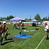IMG-20190629-WA0072