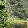 IMG-20190628-WA0035