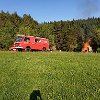 IMG-20190628-WA0055