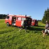 IMG-20190628-WA0058