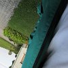 IMG_3387
