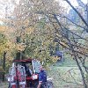 IMG-20191020-WA0001