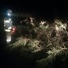 IMG_20190310_204118