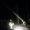 IMG_20190311_050734