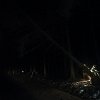 IMG_20190311_050812