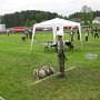 IMG_2841
