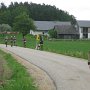IMG_2925