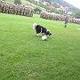 IMG_0820