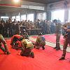 IMG_0294