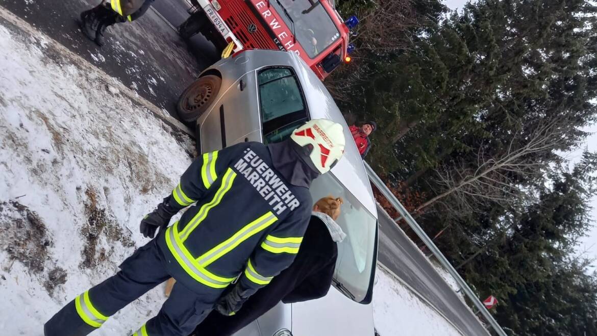 Technischer Einsatz klein